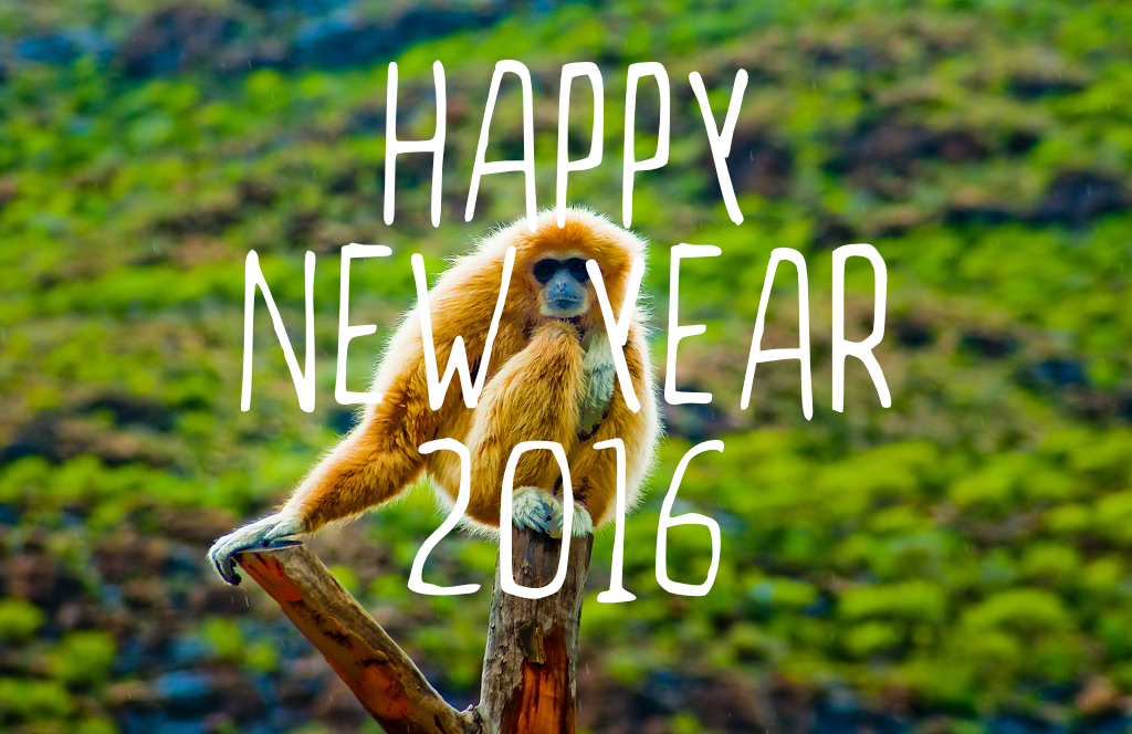 2016_monkey